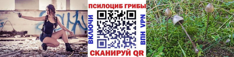 Галлюциногенные грибы мухоморы  Цимлянск 