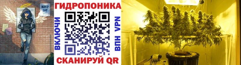 Шишки марихуана OG Kush  Цимлянск 